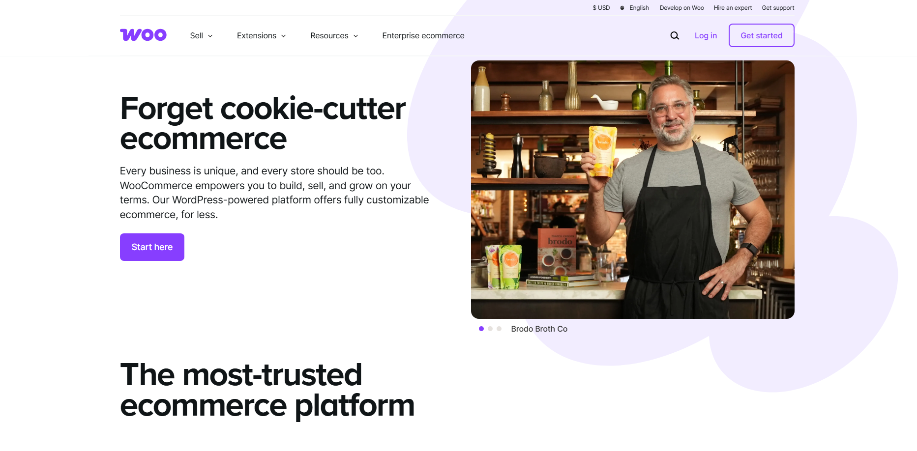 From SEO to AI: The Trendiest WordPress Plugins of the Year